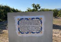 Pinilla (Sumac&agrave;rcer)